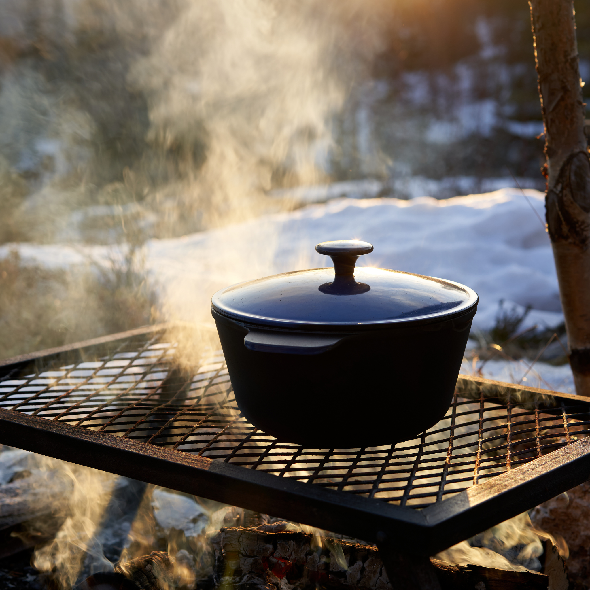 Cast Iron Dutch Oven