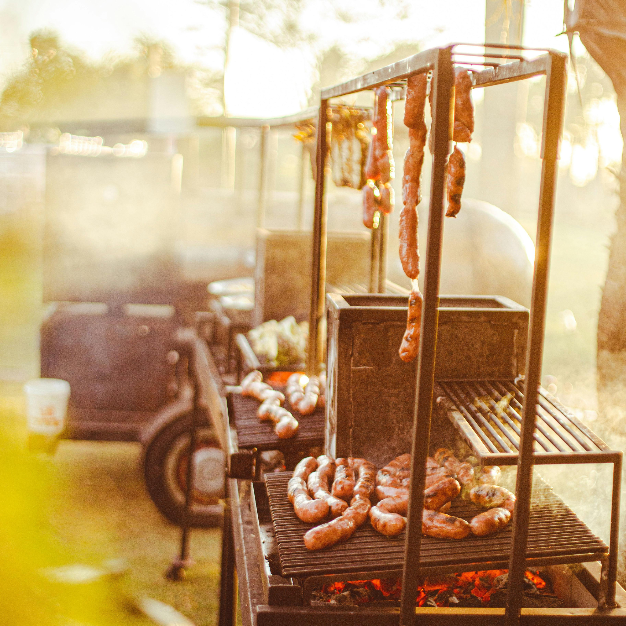 Luxury Wood Burning Outdoor Grill